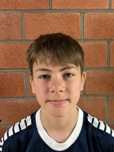 Rostyslav Ivanitskyi