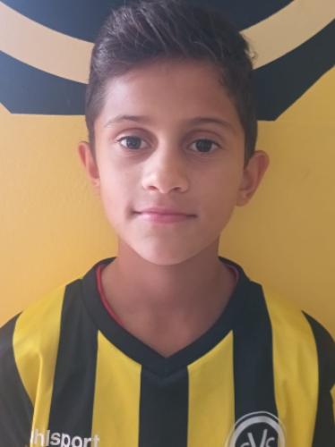 Dominic Elias Cibotariu