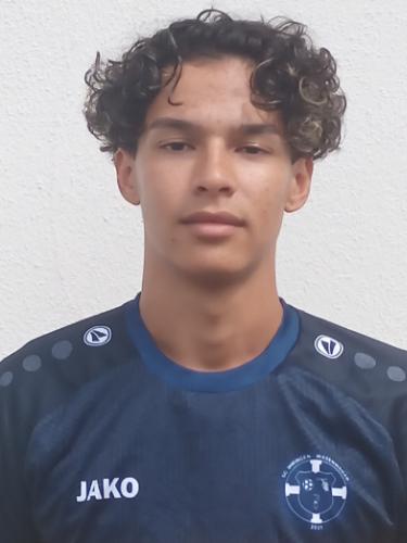 Colyn Vileroy