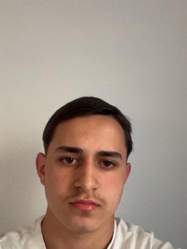 Efe Tahsin Alemdar Dal