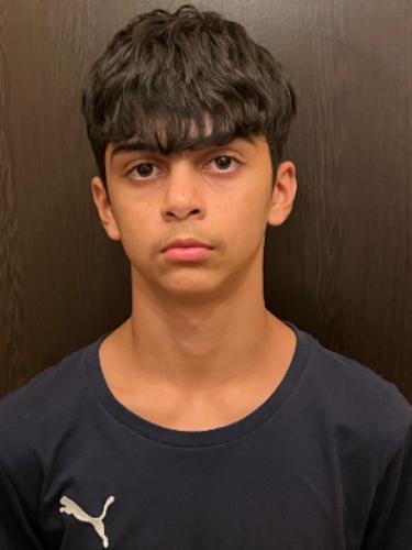 Dario Giuseppe Giganti