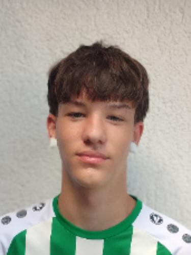 Henri Theodor Baumann