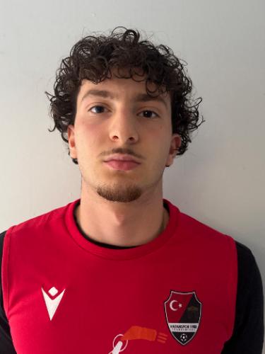 Ali Daoud Mohamad