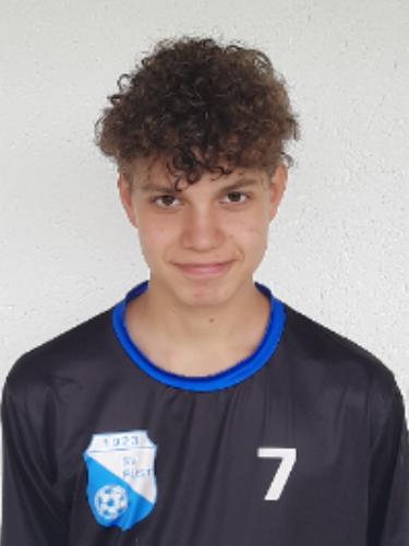 Niklas Schweizer