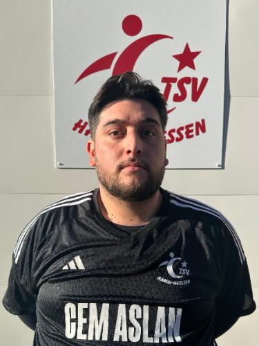 Seyfeddin Arslan
