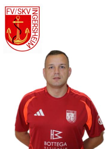 Tomislav Vedris