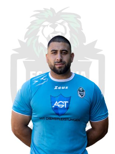 Adnan Abdel-Ghani