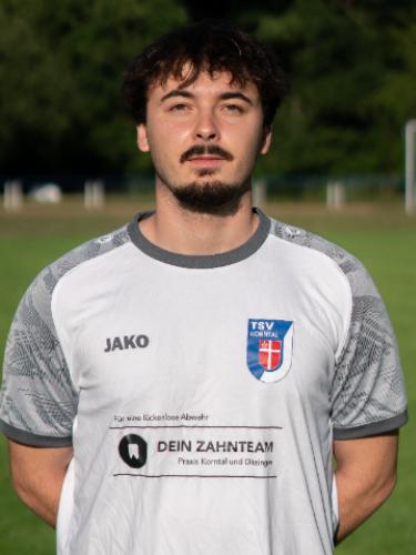 Adis Delalic