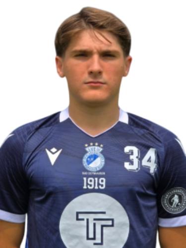 Vasileios Skoulis