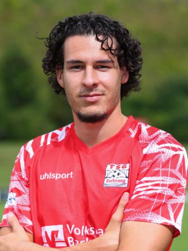 Fabijan Domic