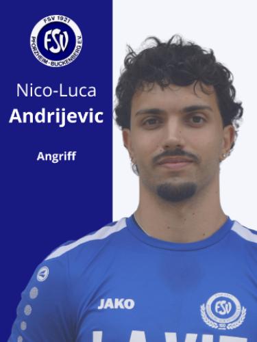 Nico Luca Andrijevic