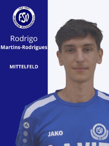 Rodrigo Martins Rodrigues