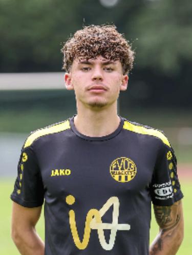 Levin Gattung