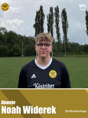 Noah Widerek
