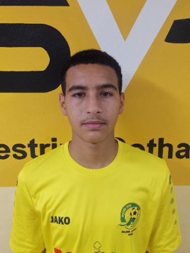 Mahmoud Almashour
