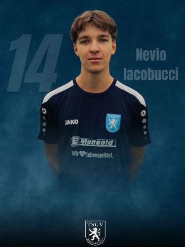 Nevio Iacobucci
