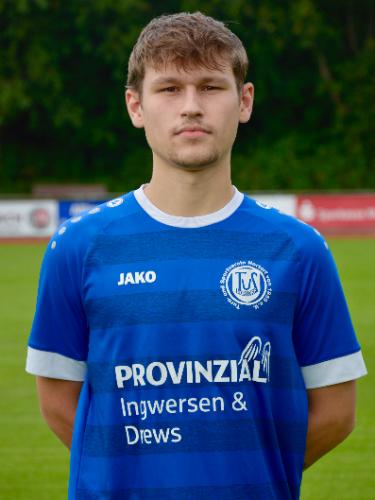 Mattes Scheibenpflug