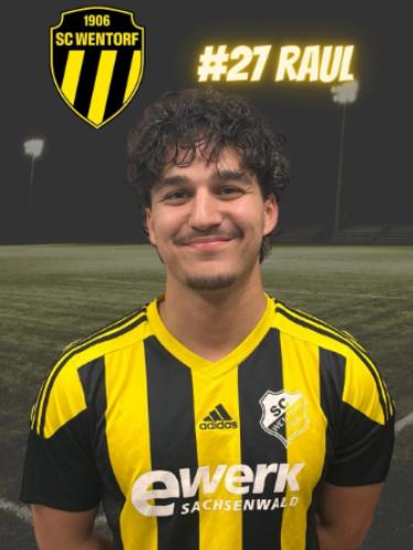 Raul Elyan Kolaly