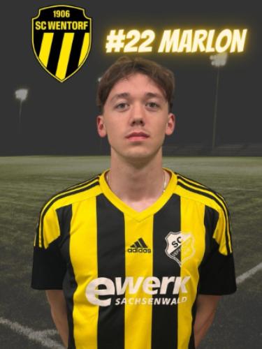 Marlon Sian-Khoo Liem