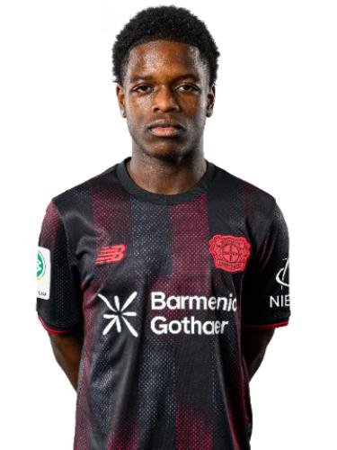 Ivan Mathis Massek Bakotaken