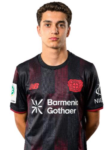 Gilles Augustinus Michael Johan Ploumen