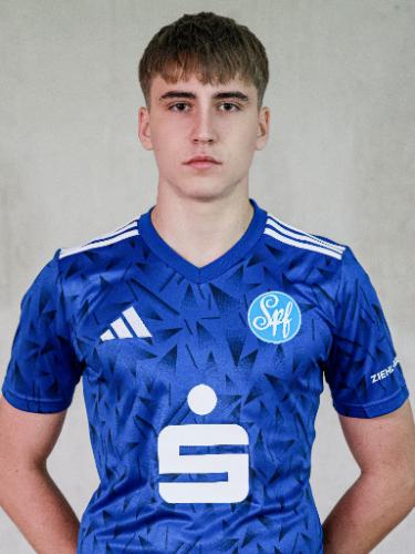 Maxim Sergeev