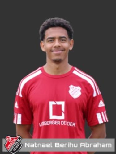 Natnael Berihu Abraham