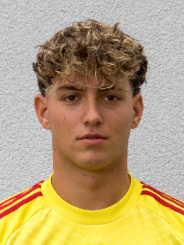 Paul-Gabriel Fleseriu