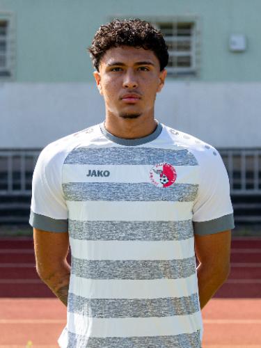 Amir Hossein Farhadi