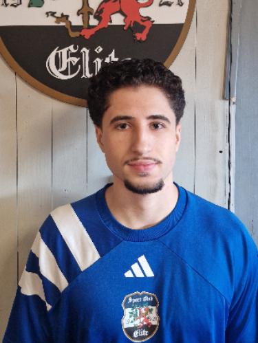 Romeo-Ionut Dorneanu