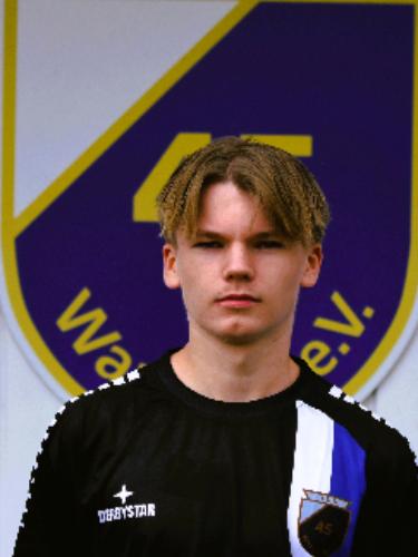Nils Seiferlin