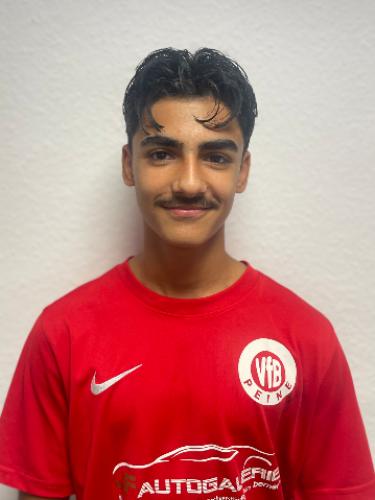 Arya Schirwan Rashid