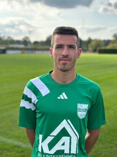 Daniel-Cristian Burghelea