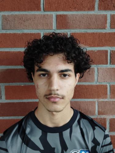 Arian Farhangian