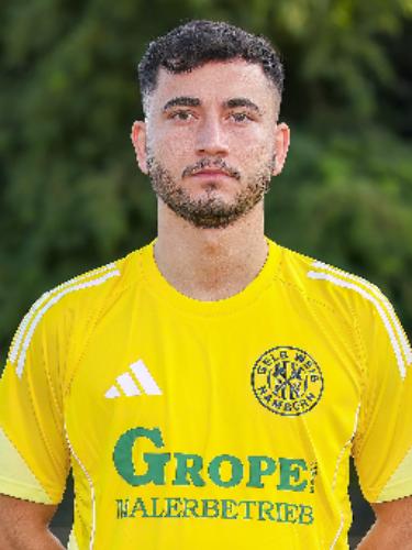 Fatih Cevikol