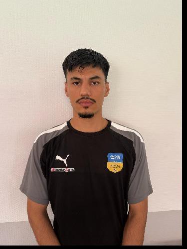 Hosseini Mortezza