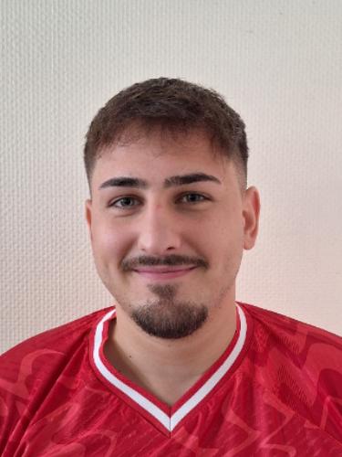 Mladen Subasic