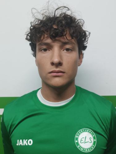 Carlos Emilian Farkas