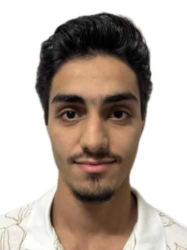 Alaa Alsamman
