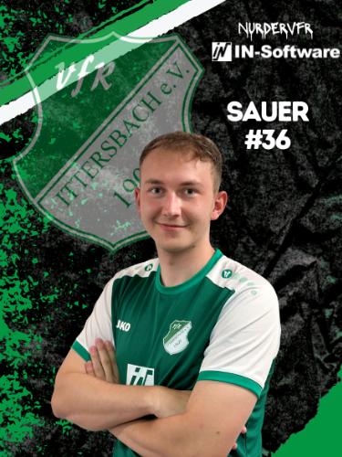 Tim Sauer