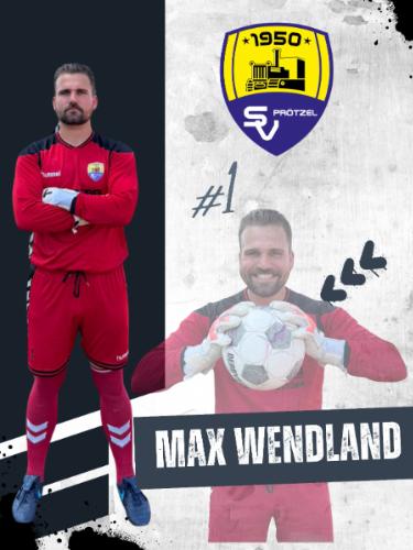 Maximilian Wendland