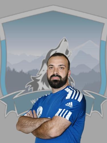 Marian-Catalin Ungureanu
