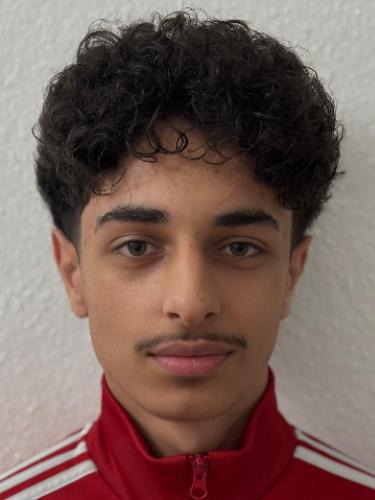 Mohamad Zain Alshikh