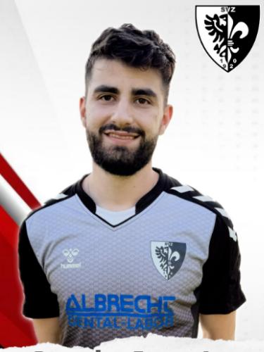 Damir Zuvela