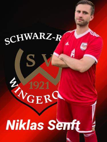 Niklas Senft