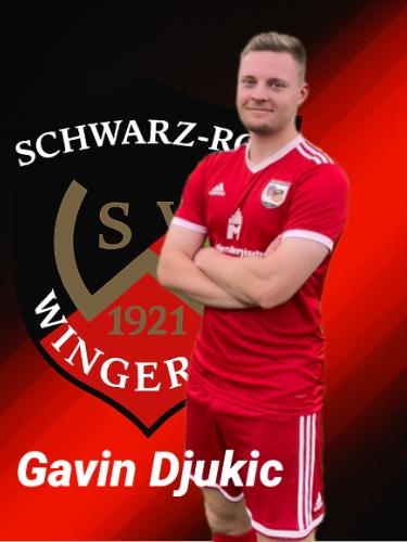 Gavin Djukic