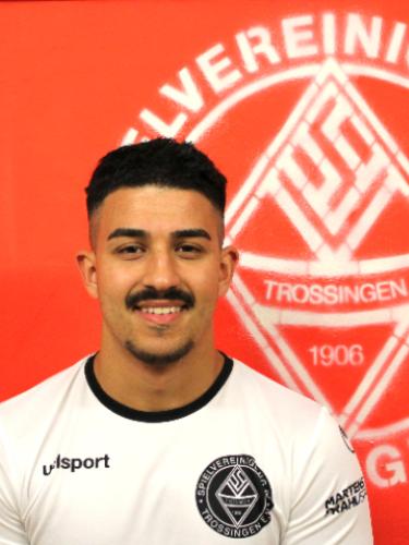 Alihan Dedeeli