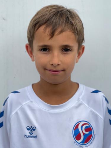 Ajdin Stoschek