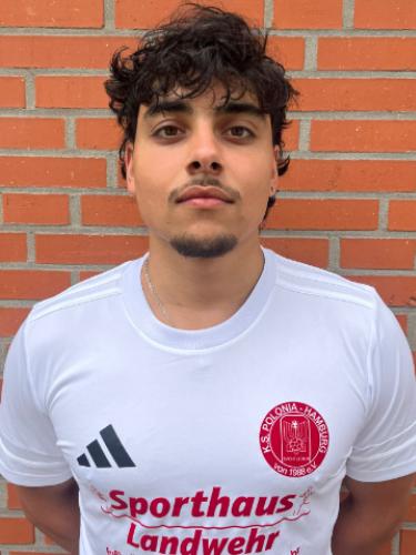 Valentin Santos Luna-Schriever