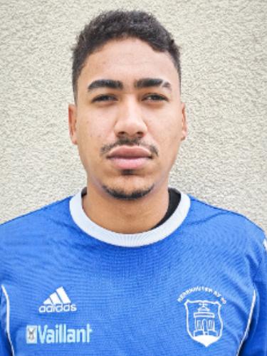 Jesus Enrique Suarez Pena